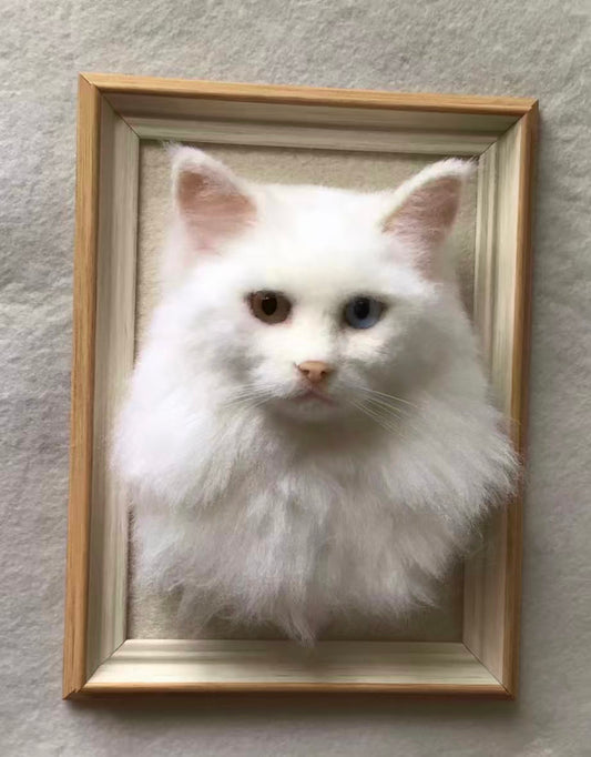 Mini Framed pet portrait-Cat