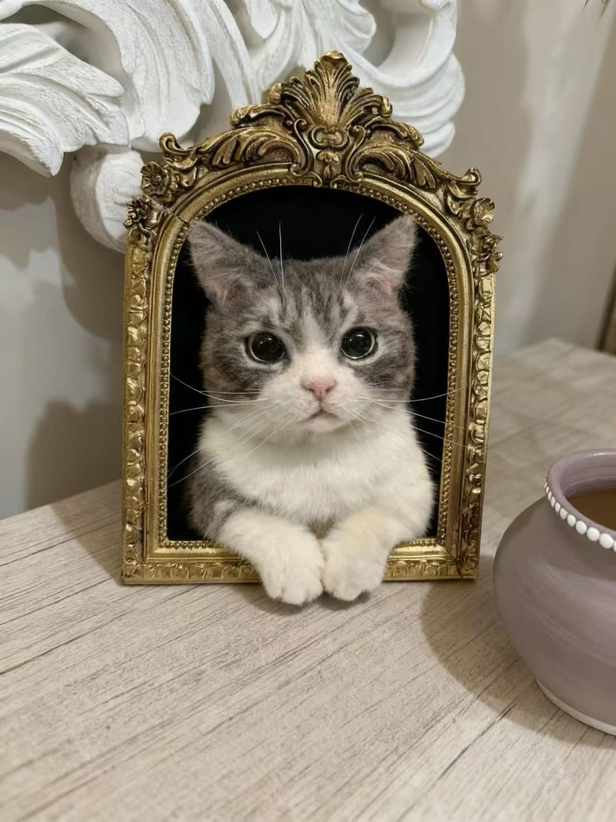 Full Framed pet Portrait - Cat