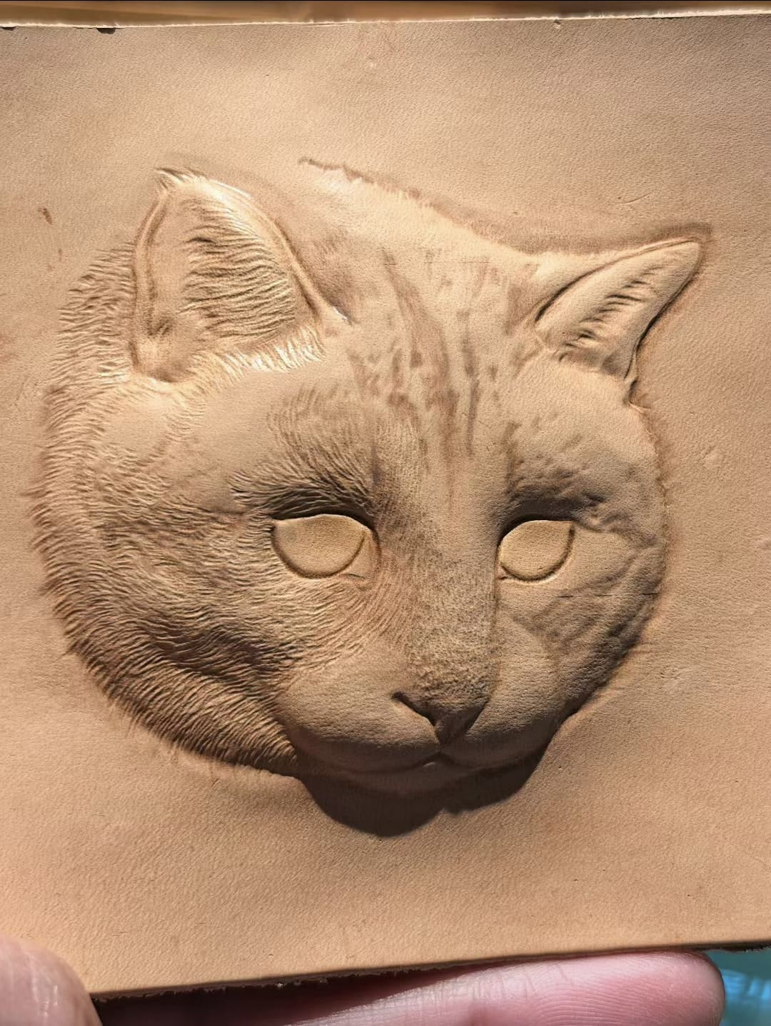 Hand-Sized Portraits ( Cat )