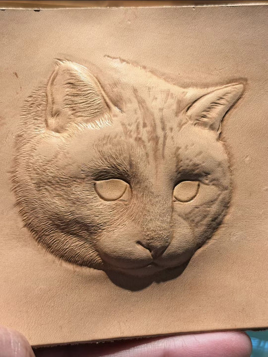 Hand-Sized Portraits ( Cat )