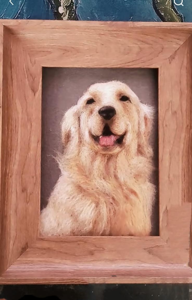 Signature Portraits