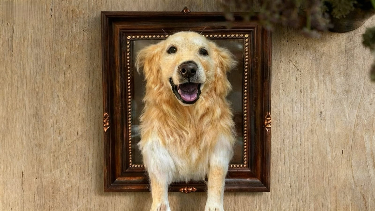 Full Framed Pet Portrait - Dog